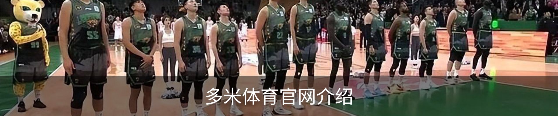 多米体育官网介绍